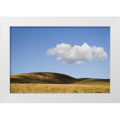 Colorado, San Juan Mts Landscape of Wilson Mesa White Modern Wood Framed Art Print by Bush, Marie