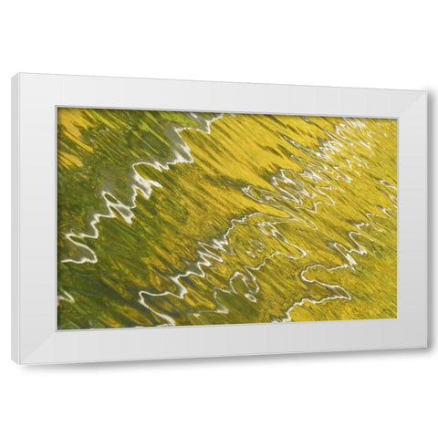 Colorado, San Juan Mts Reflection in Woods Lake White Modern Wood Framed Art Print by Bush, Marie