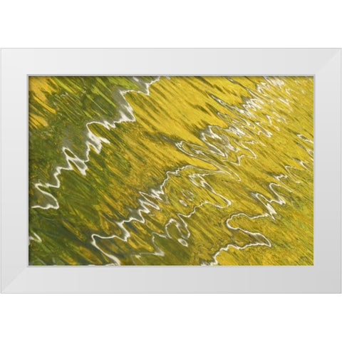 Colorado, San Juan Mts Reflection in Woods Lake White Modern Wood Framed Art Print by Bush, Marie