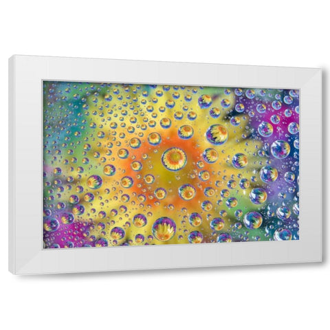 Colorado, Lafayette Abstract Water bubbles White Modern Wood Framed Art Print by Bush, Marie