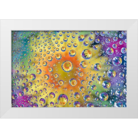 Colorado, Lafayette Abstract Water bubbles White Modern Wood Framed Art Print by Bush, Marie