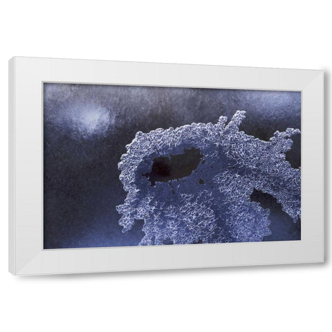 CO, Boulder Ice pattern in South Boulder Creek White Modern Wood Framed Art Print by Bush, Marie