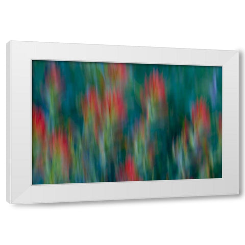 USA, Colorado, Crested Butte Flower abstract White Modern Wood Framed Art Print by Bush, Marie