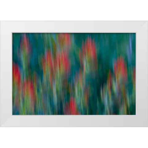 USA, Colorado, Crested Butte Flower abstract White Modern Wood Framed Art Print by Bush, Marie