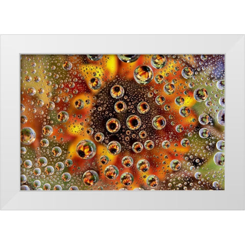 CO, Lafayette Water bubbles on glass table top White Modern Wood Framed Art Print by Bush, Marie