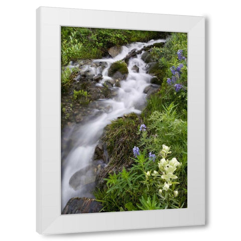 Colorado, Crested Butte Stream and flowers White Modern Wood Framed Art Print by Bush, Marie