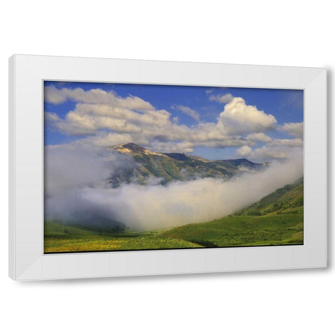 Colorado, Fog and mountain landscape White Modern Wood Framed Art Print by Rotenberg, Nancy