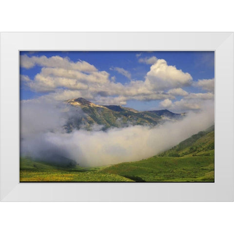 Colorado, Fog and mountain landscape White Modern Wood Framed Art Print by Rotenberg, Nancy