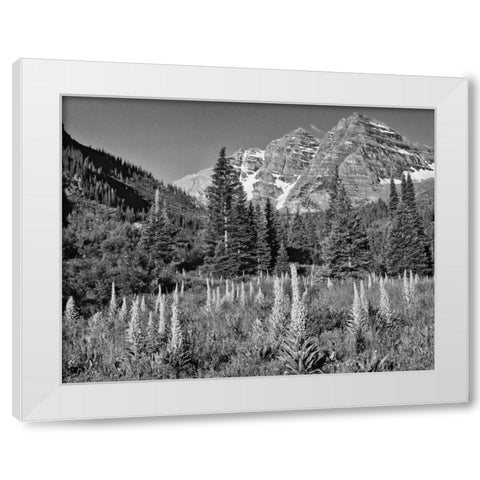 CO, White Mountain NF Maroon Bells and meadow White Modern Wood Framed Art Print by Flaherty, Dennis