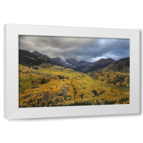 CO, White River NF, Capitol Peak Valley Storm White Modern Wood Framed Art Print by Grall, Don