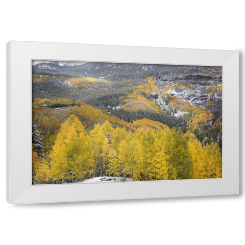 Colorado, San Juan Mountains Autumn snowfall White Modern Wood Framed Art Print by Grall, Don