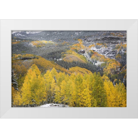 Colorado, San Juan Mountains Autumn snowfall White Modern Wood Framed Art Print by Grall, Don