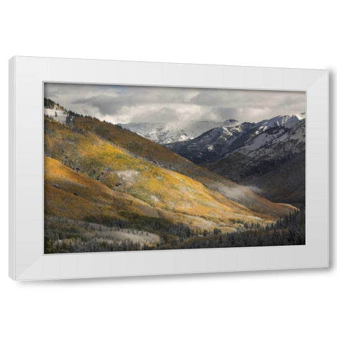 CO, San Juan Mts Red Mountain Pass after snow White Modern Wood Framed Art Print by Grall, Don