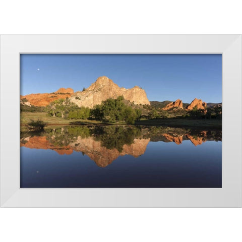 CO, Colorado Springs Cliff reflected in pond White Modern Wood Framed Art Print by Grall, Don