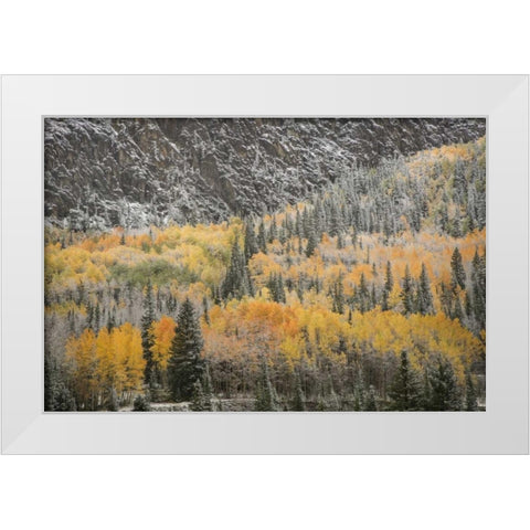 Colorado, San Juan Mountains Autumn snowfall White Modern Wood Framed Art Print by Grall, Don