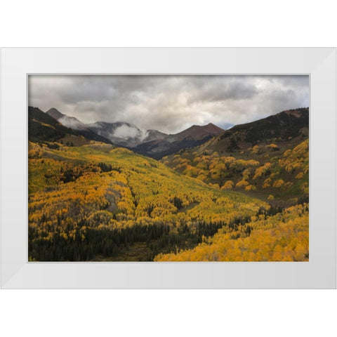 CO, White River NF, Capitol Peak Valley Storm White Modern Wood Framed Art Print by Grall, Don