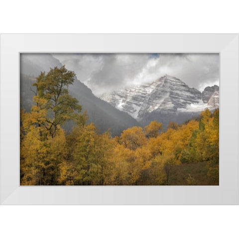 CO Autumn sunrise on Maroon Bells mountains White Modern Wood Framed Art Print by Grall, Don