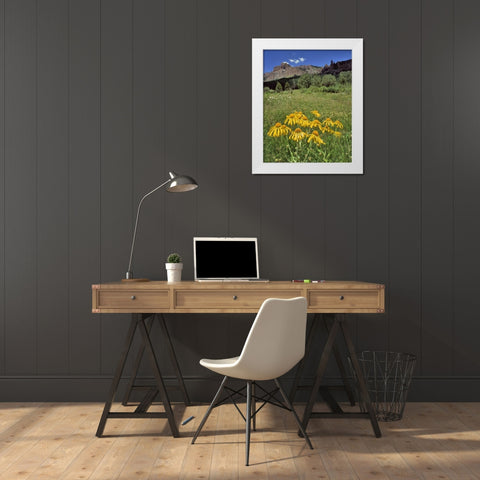 CO, Mill Creek Valley Sneezeweed blooming White Modern Wood Framed Art Print by Terrill, Steve