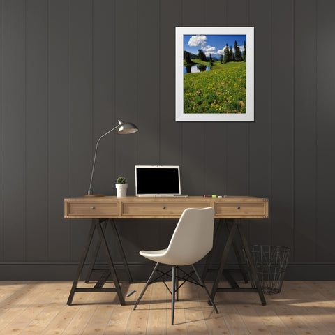 CO, Paradise Divide View of Whetstone Mountain White Modern Wood Framed Art Print by Terrill, Steve