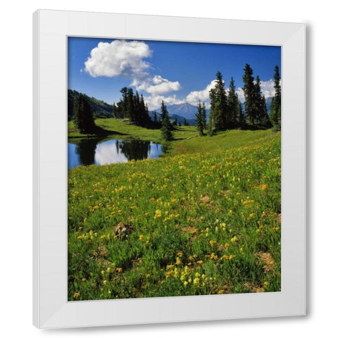 CO, Paradise Divide View of Whetstone Mountain White Modern Wood Framed Art Print by Terrill, Steve