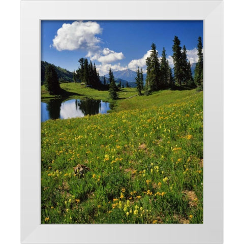 CO, Paradise Divide View of Whetstone Mountain White Modern Wood Framed Art Print by Terrill, Steve