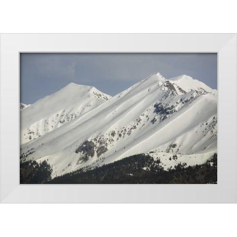 Colorado Fresh spring snow coats Sawatch Range White Modern Wood Framed Art Print by Grall, Don