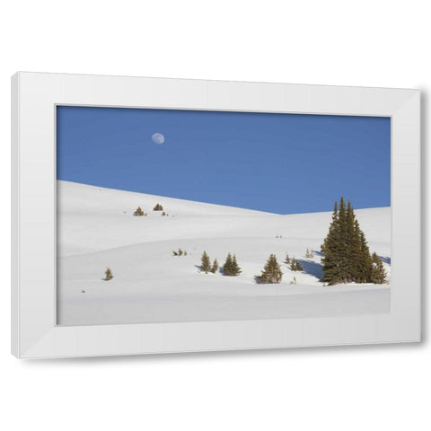 Colorado Moon rise above the Continental Divide White Modern Wood Framed Art Print by Grall, Don