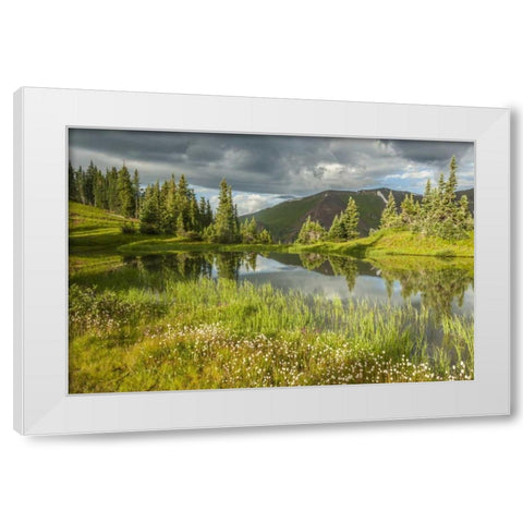 Colorado Paradise Divide and pond reflection White Modern Wood Framed Art Print by Illg, Cathy and Gordon