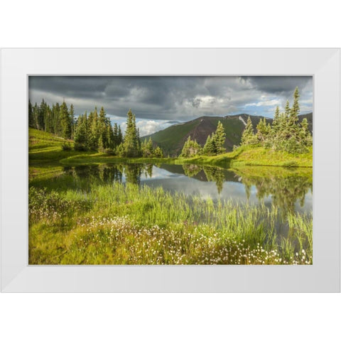 Colorado Paradise Divide and pond reflection White Modern Wood Framed Art Print by Illg, Cathy and Gordon
