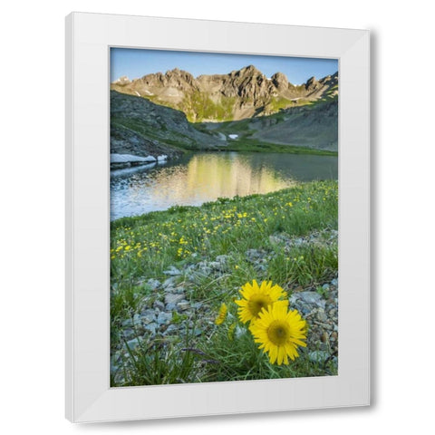 CO, San Juan Mts Lake and alpine sunflowers White Modern Wood Framed Art Print by Illg, Cathy and Gordon