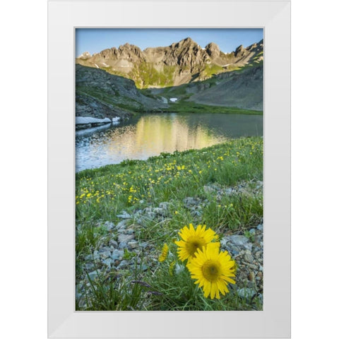 CO, San Juan Mts Lake and alpine sunflowers White Modern Wood Framed Art Print by Illg, Cathy and Gordon