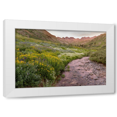 USA-Colorado Mountain landscape with wildflowers and stream White Modern Wood Framed Art Print by Jaynes Gallery
