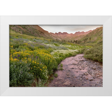 USA-Colorado Mountain landscape with wildflowers and stream White Modern Wood Framed Art Print by Jaynes Gallery