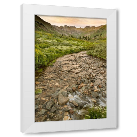 USA-Colorado Mountain landscape with wildflowers and stream White Modern Wood Framed Art Print by Jaynes Gallery