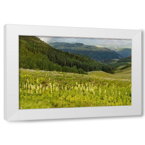 USA-Colorado-San Juan Mountains Summer mountain landscape White Modern Wood Framed Art Print by Jaynes Gallery