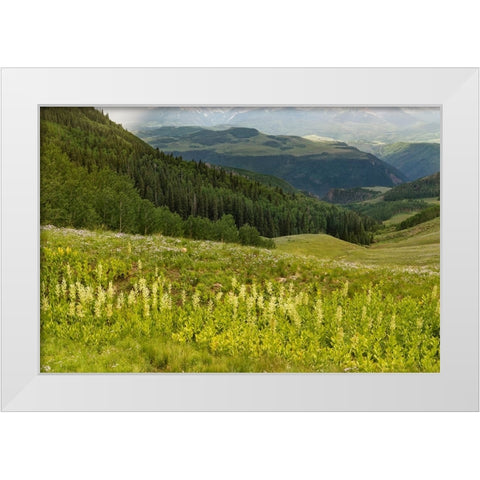 USA-Colorado-San Juan Mountains Summer mountain landscape White Modern Wood Framed Art Print by Jaynes Gallery