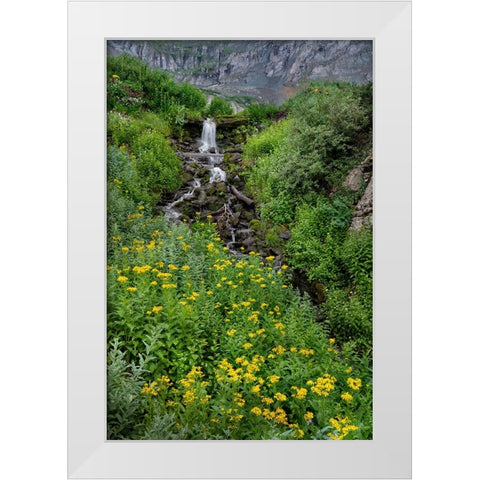 USA-Colorado-Uncompahgre National Forest Mountain landscape with waterfall and wildflowers White Modern Wood Framed Art Print by Jaynes Gallery