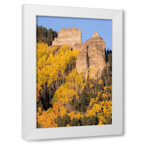 USA-Colorado-Uncompahgre National Forest Pinnacle Ridge towers over aspens in autumn White Modern Wood Framed Art Print by Jaynes Gallery