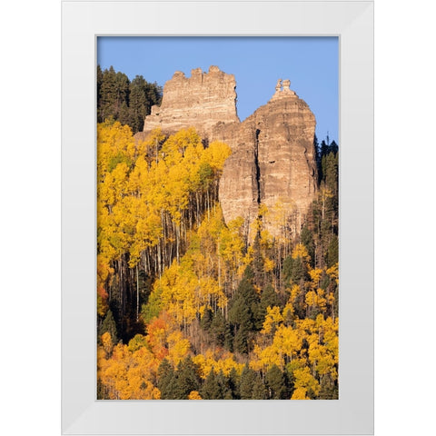 USA-Colorado-Uncompahgre National Forest Pinnacle Ridge towers over aspens in autumn White Modern Wood Framed Art Print by Jaynes Gallery