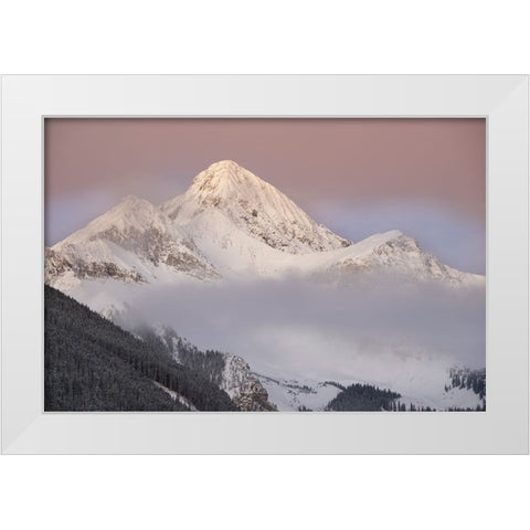 USA-Colorado-Uncompahgre National Forest Autumn sunrise on Wilson Peak White Modern Wood Framed Art Print by Jaynes Gallery