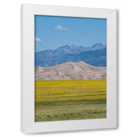 USA-Colorado-San Luis Valley-Great Sand Dunes National Park White Modern Wood Framed Art Print by Hopkins, Cindy Miller
