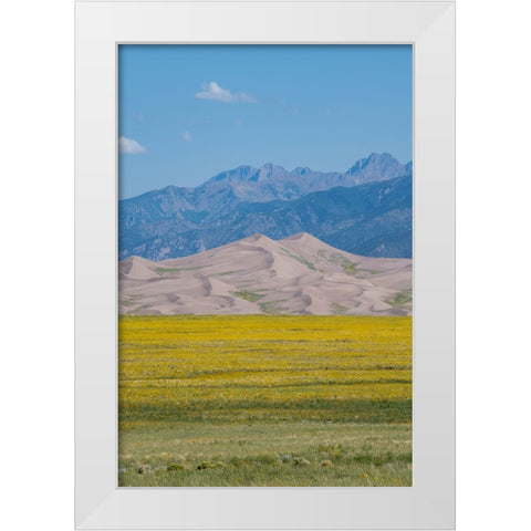USA-Colorado-San Luis Valley-Great Sand Dunes National Park White Modern Wood Framed Art Print by Hopkins, Cindy Miller