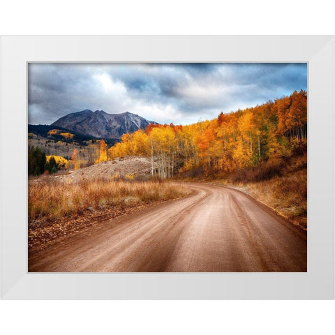 Colorado-San Juan Mts Road leading through an aspen grove towards East Beckwith Mountain White Modern Wood Framed Art Print by Eggers, Julie