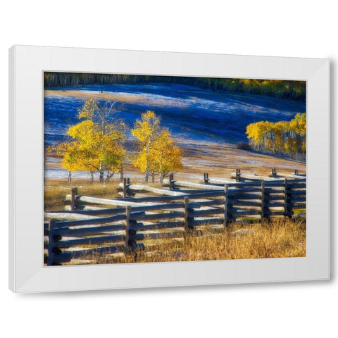 Colorado-San Juan Mts Fence line and aspens with fresh snow in the fall White Modern Wood Framed Art Print by Eggers, Julie