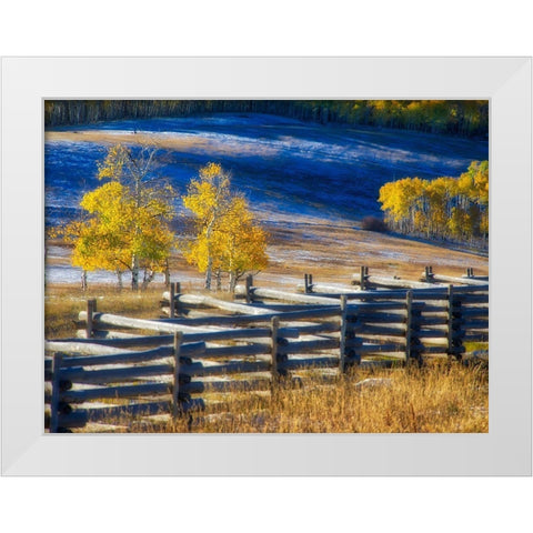 Colorado-San Juan Mts Fence line and aspens with fresh snow in the fall White Modern Wood Framed Art Print by Eggers, Julie