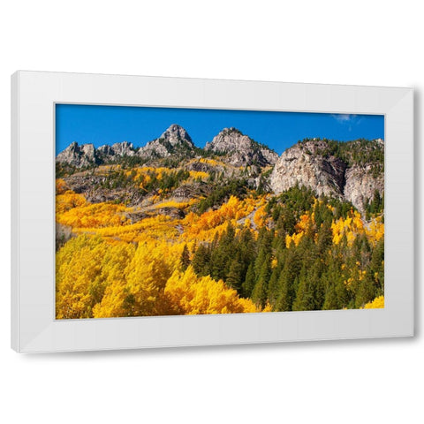 Aspen-Colorado Maroon Bells-Snowmass Wilderness White Modern Wood Framed Art Print by Ostrowitz, Mallorie