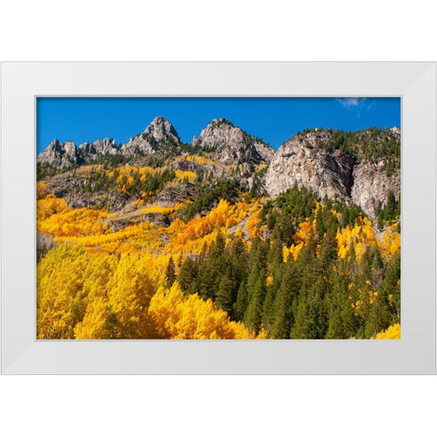 Aspen-Colorado Maroon Bells-Snowmass Wilderness White Modern Wood Framed Art Print by Ostrowitz, Mallorie