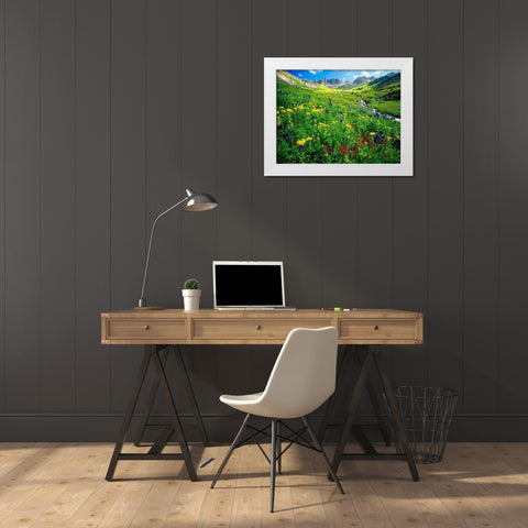 Spring is graced with American Basin wildflowers in the Colorado Rocky Mountains White Modern Wood Framed Art Print by SMO