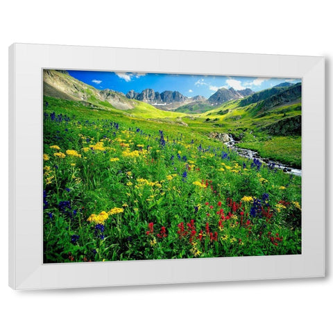 Spring is graced with American Basin wildflowers in the Colorado Rocky Mountains White Modern Wood Framed Art Print by SMO