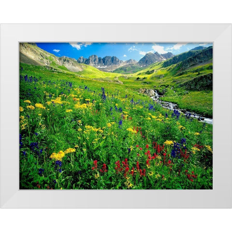 Spring is graced with American Basin wildflowers in the Colorado Rocky Mountains White Modern Wood Framed Art Print by SMO